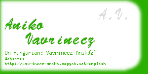 aniko vavrinecz business card